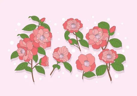Camellia wuthering waves arts