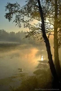 В утренней тиши