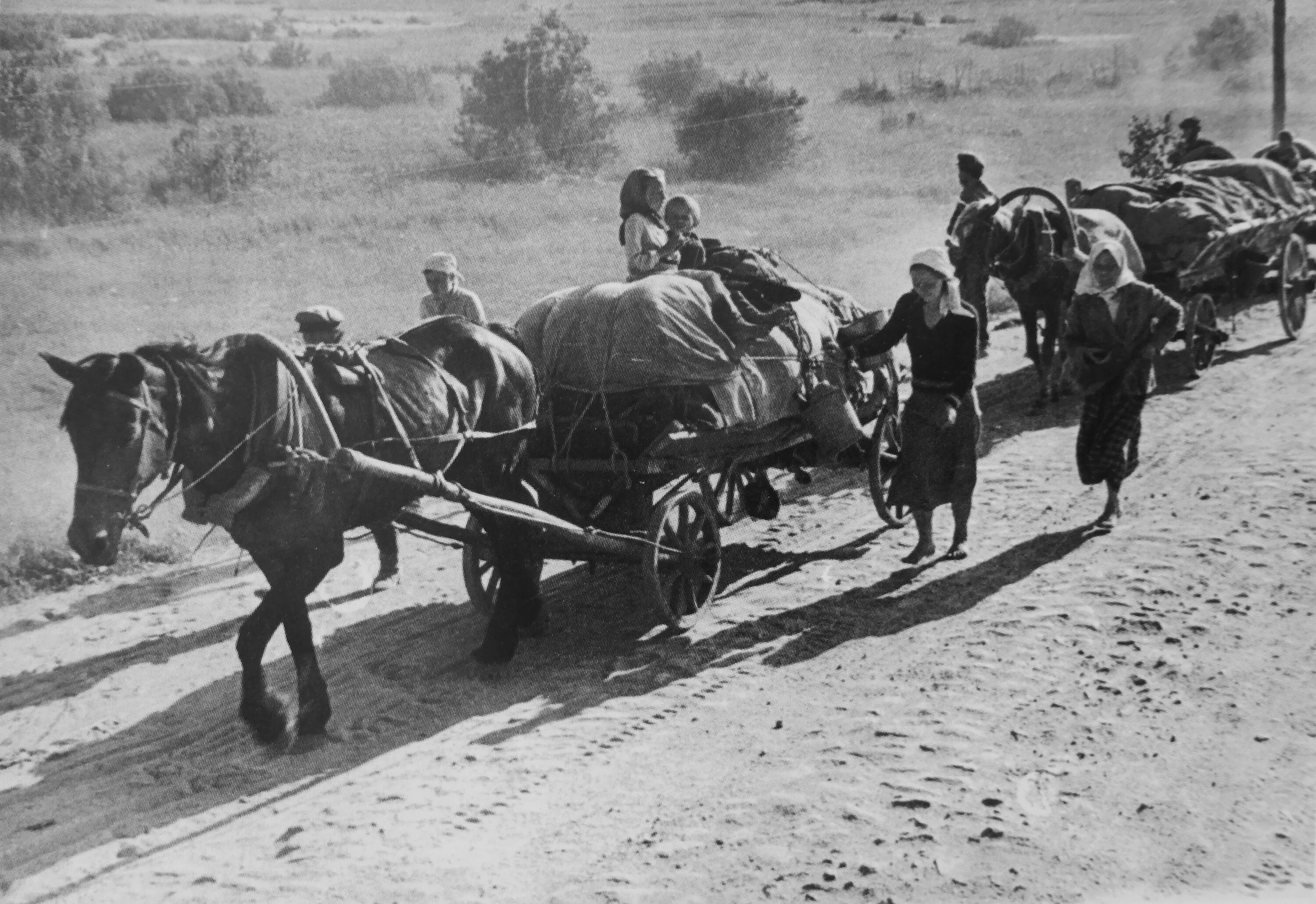 Гужевой скот. Гужевые повозки на войне 1941. Лошади в годы Великой Отечественной войны 1941-1945 гг. Гужевой транспорт РККА В ВОВ 1941-1945 гг. Лошади на войне.