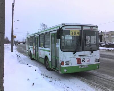 25 автобус спб