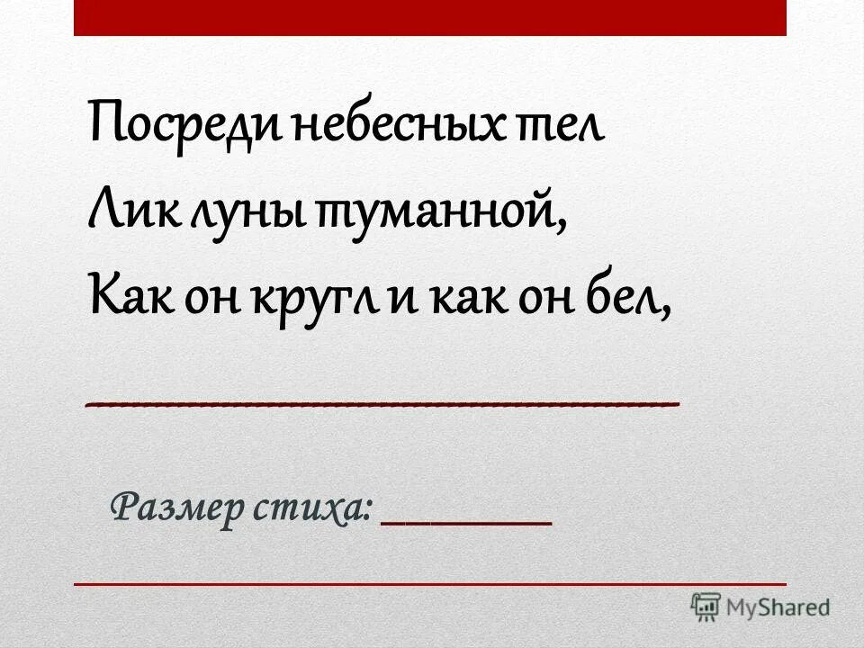 Поэты о масленице. Посреди небесных. Стих лермонтова посреди небесных тел. Михаил лермонтов посреди небесных тел. Лермонтов "посреди небесных тел.