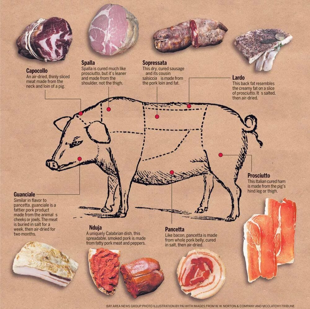 Части свиного мяса. Части туши свинины антрекот. Антрекот схема разделки. Схема разделки свиной туши на стейки. Название частей мяса свинины.