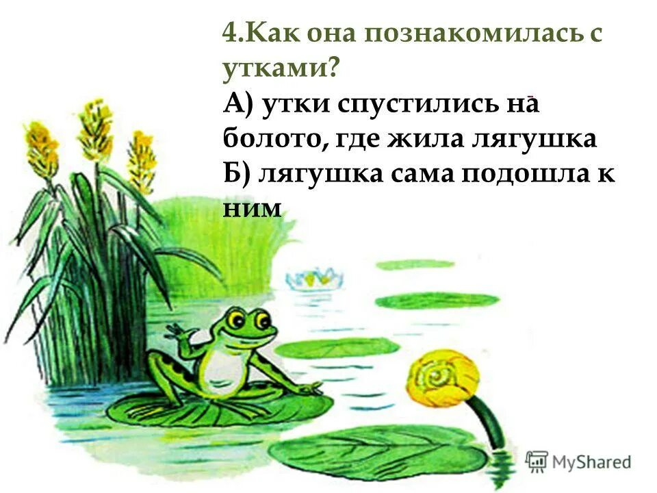 как жилось лягушке путешественнице в болоте. лягушка путешественница 1995. как жилось лягушке путешественнице в болоте. сказка лягушка путешественница. сказочное болото с лягушками.