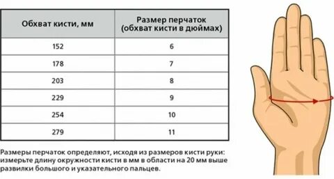 Таблица руки для перчаток