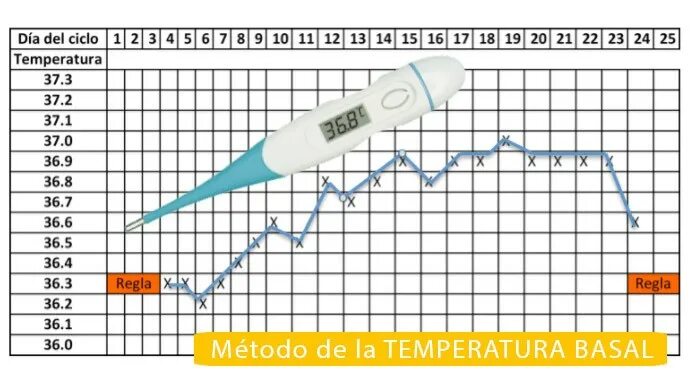 За сколько поднимается температура. Температура 36.9. Имплантация эмбриона на графике базальной. Температура фото живое. Температура 36.9 тошнота.