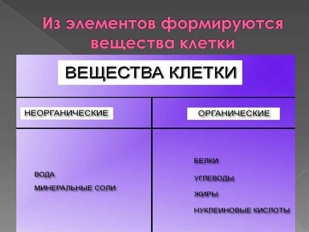 Перечислить 5 веществ