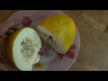 Дыня сибирячка