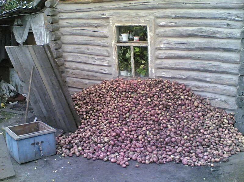 Чумаково Новосибирская область. Чумаково Куйбышевский район Новосибирская область. Деревня Чумаково Куйбышевский район Новосибирская область. Село Чумаково Куйбышевского района Новосибирской области.