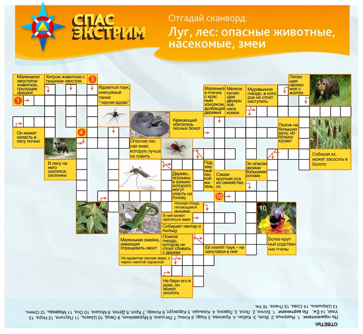 Летов сканворд. Кроссворд ОБЖ. Сканворд ОБЖ. Кроссворд туризм. Сканворд на тем безопасность.