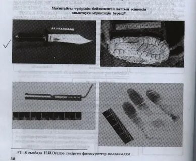 Тесіктері бар порнографиялық объектілердің фотосуреттері