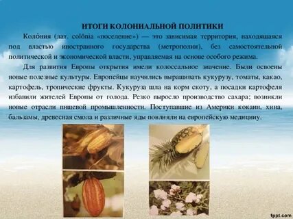 Результаты колониальной политики