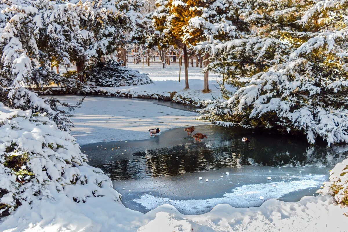 полынья слушать