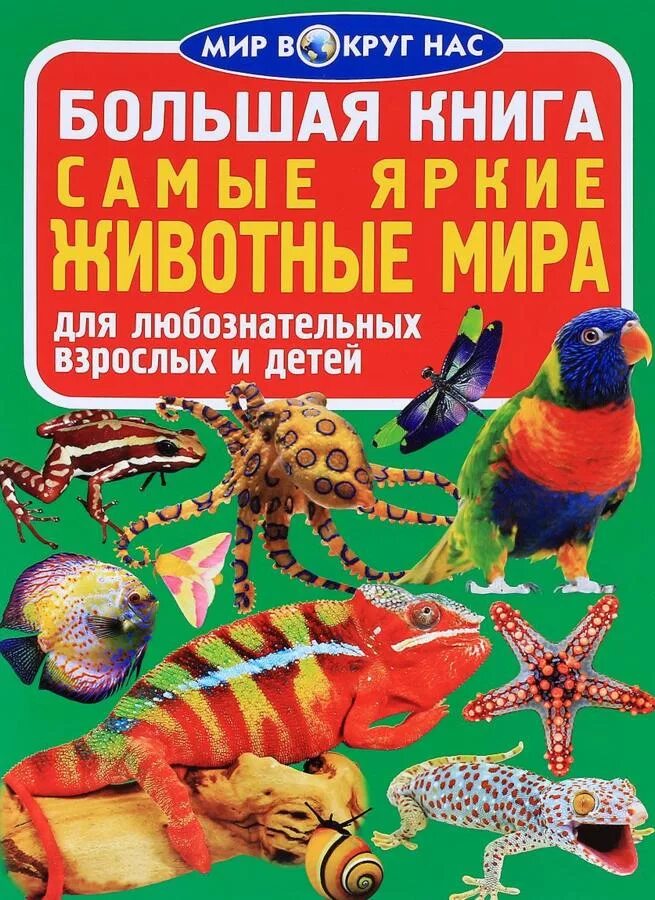 большая иллюстрированная энциклопедия животные. любознательный. большая книга мир животных. большая книга. книга большая энциклопедия животных.