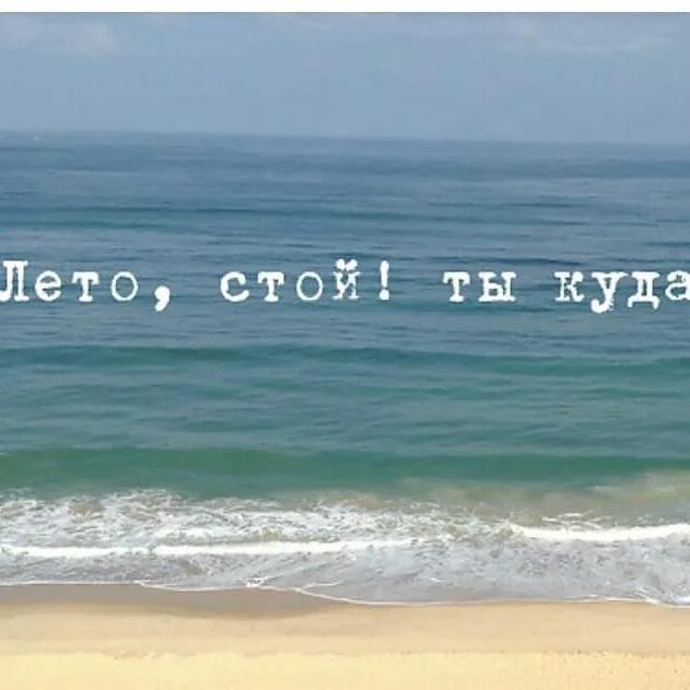 Лета ждать не стоит. Полевые цветы,люди. Лето на носу. Позитивное лето. Лета ждать не стоит.