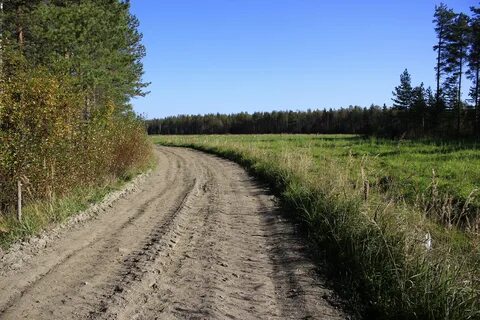 Строительство дорог на местности