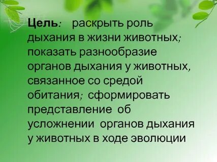 В чем состоит главная роль