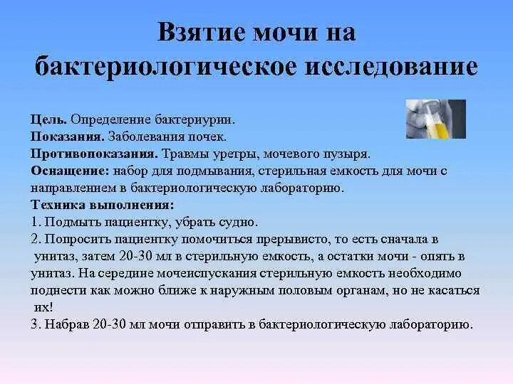 Сбор мочи алгоритм сестринское дело. Забор мочи на бактериологическое исследование алгоритм. Алгоритм забора мочи на исследование. Сбор мочи на бак посев алгоритм. Взятие мочи на бактериологическое исследование алгоритм.