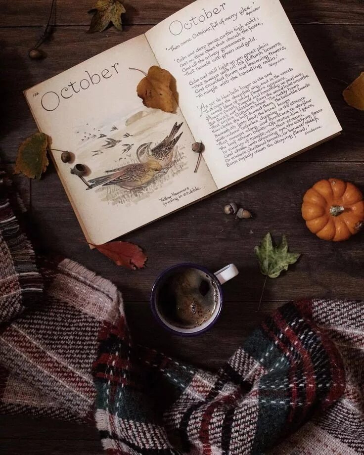 Книги про осень. Книга для…. Осенняя книга. Осенняя книга. Книги про осень.