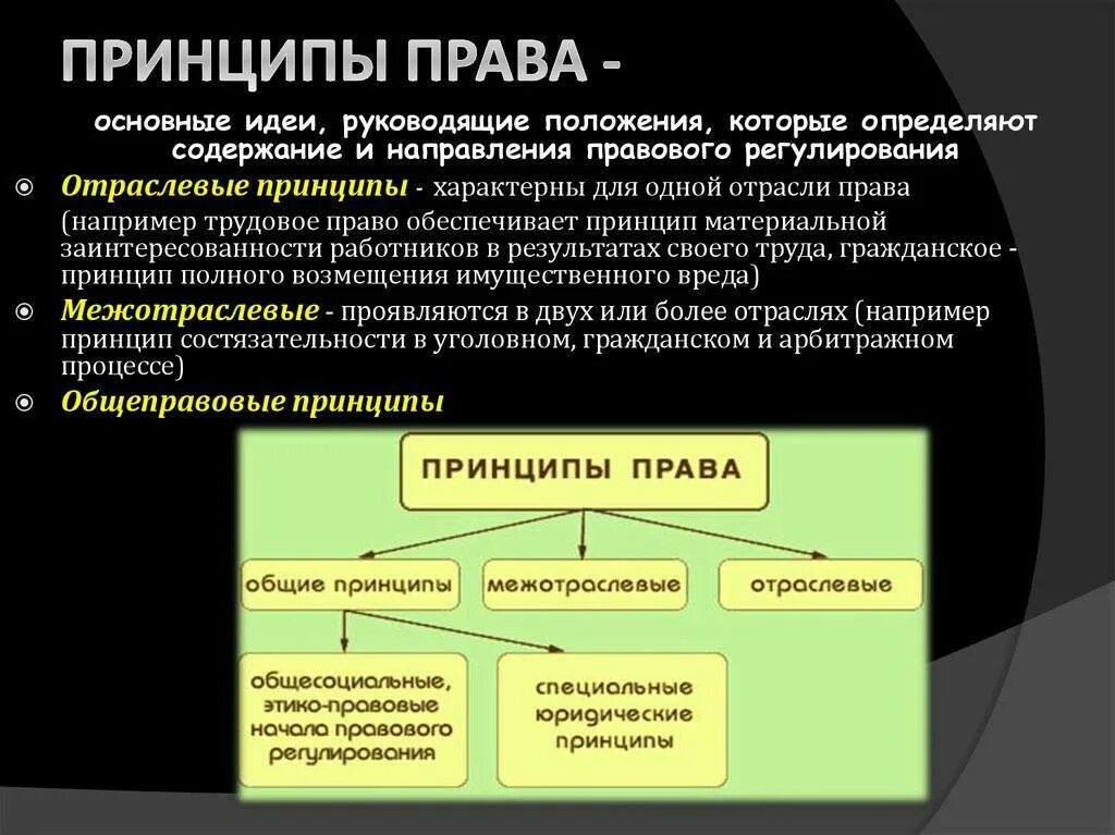 Отраслевыми принципами являются