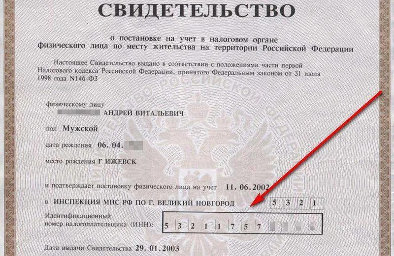 Где найти данные организации