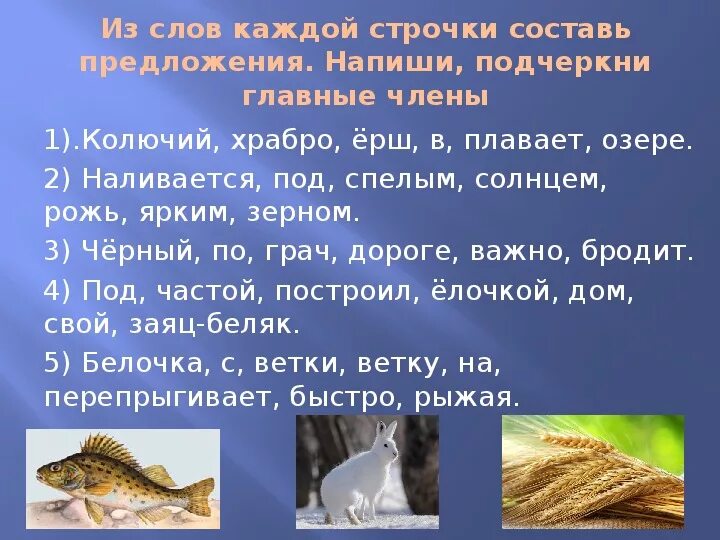 Предложение со словом колючий. Предложение со слрвом Ëрш. Предложение со словом Ерш. Составить предложение со словом колючий. Составить предложения из слов колючий.