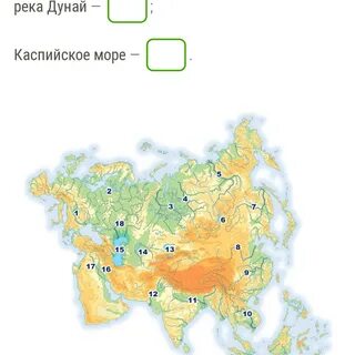 Восточно европейскую великую китайскую