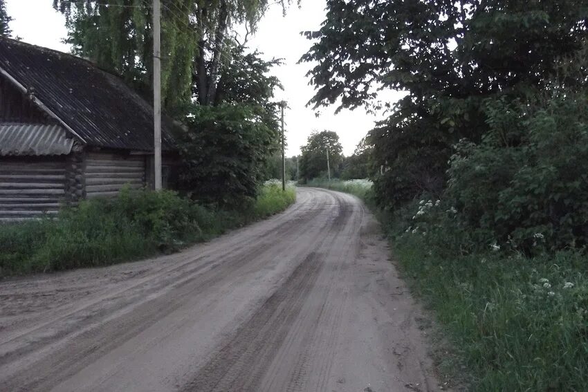 Новгородская область поселок хвойнинское. Деревня Минцы Хвойнинский район. Посёлок горный Хвойнинского района. Минцы Хвойнинского района Новгородской. Минцы Новгородская область Хвойнинский.