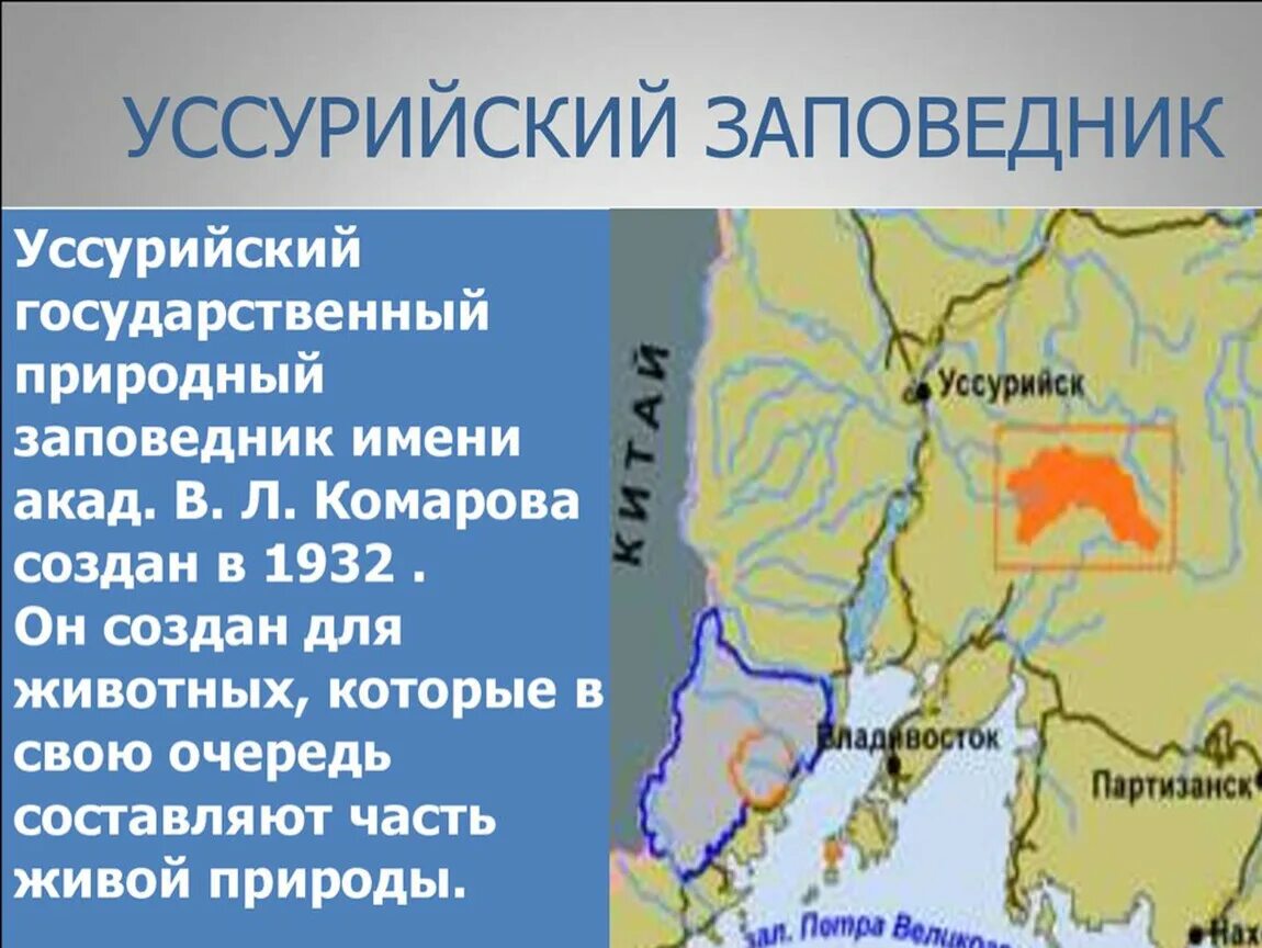 Уссурийский заповедник рассказ. Уссурийский заповедник им в.л Комарова. Уссурийский заповедник 3 класс окружающий мир. Уссурийский заповедник доклад. Уссурийский край вошел в состав