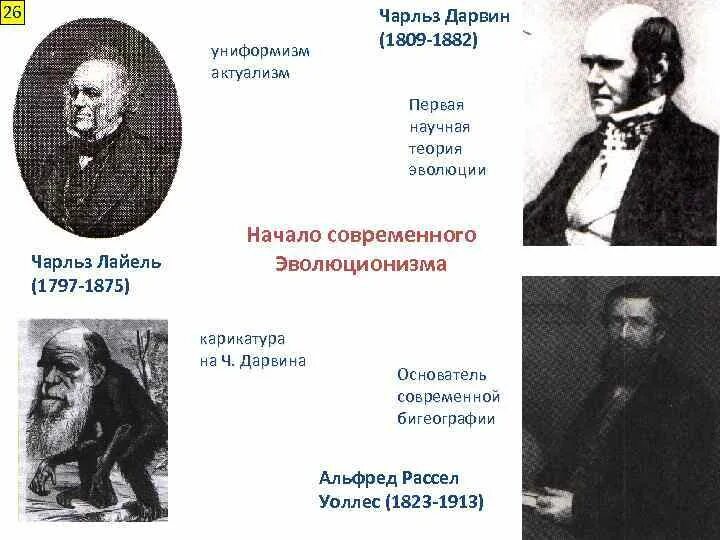 Ученые теория дарвина. Теория эволюции ч. Дарвина (1809-1882).. Основоположники современной теории эволюции Дарвин и. Эволюционная теория Чарльза Дарвина.