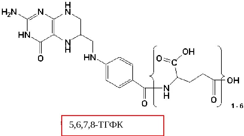 Фолиевая кислота тиамин. Фолиевая кислота ТГФК. Витамин в9 формула. НАДФ витамин в5. ТГФК формула биохимия.