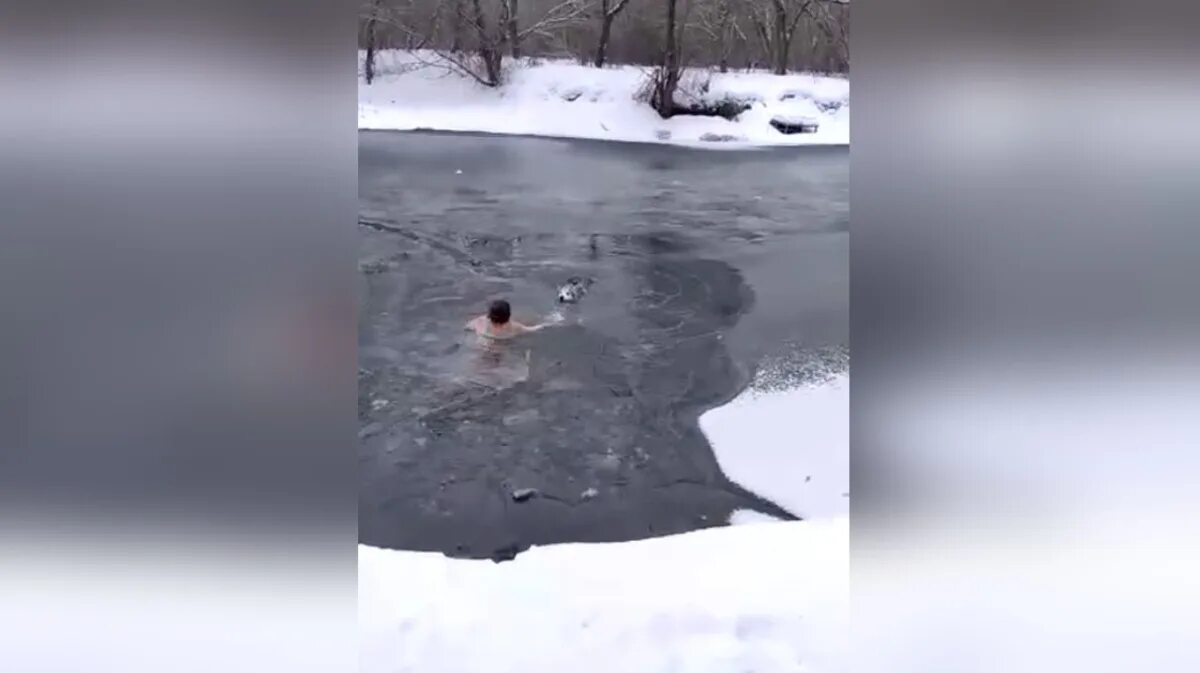 Реки были замечены изменения. Спас собаку из ледяной воды. Спасение собаки из ледяного плена. Спасение собаки из ледяного плена Владимирская область. Прыгнул в воду оказалось лед.