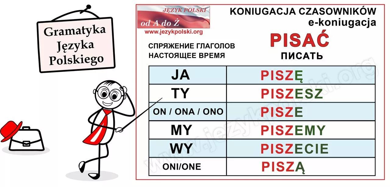 Польский язык. Падежи в польском языке. Как выучить польский язык. Учить польский язык