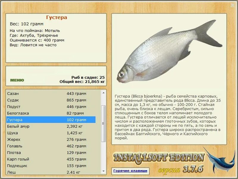 Русская рыбалка 3 красивая меча густера. Красивая меча плотва русская рыбалка 3. Густера рыба на что ловить. Рыба семейства карповых густера. Русская рыбалка отзывы