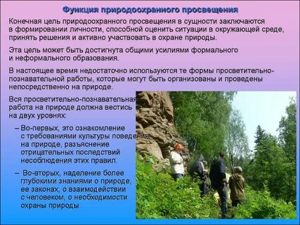 Задачи экологического просвещения