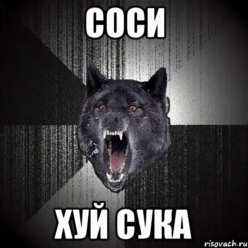 Сука чтоб. Самка собаки Мем. Волки хууууй. Саня Открой Мем. Мем сукиииии.