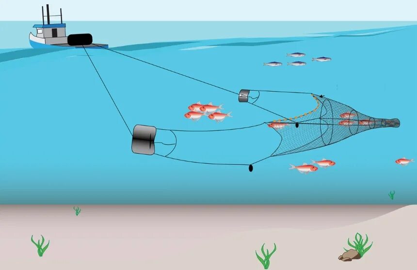 Способы лова. Устройство трала рыболовного. Трал рыболовный пелагический. Донный трал. Донный трал схема.