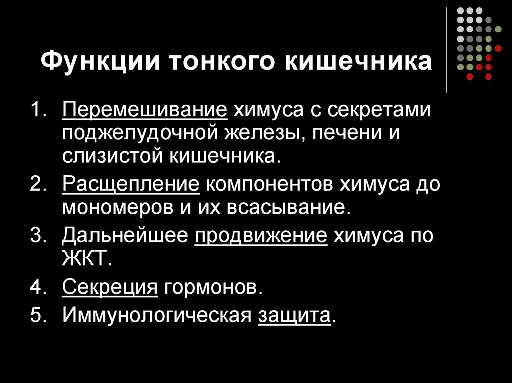 Основные функции тонкого кишечника. Функции тонкого кишечника 3. Тонкий кишечник функции кратко. Кишечник функции кратко.