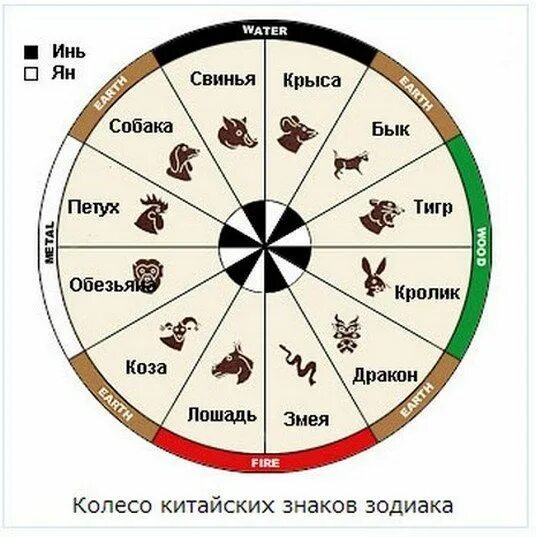 Коза и змея совместимость. Совместимость годов животных. Китайский гороскоп. Знаки по китайскому гороскопу совместимость. Китайский гороскоп животные.