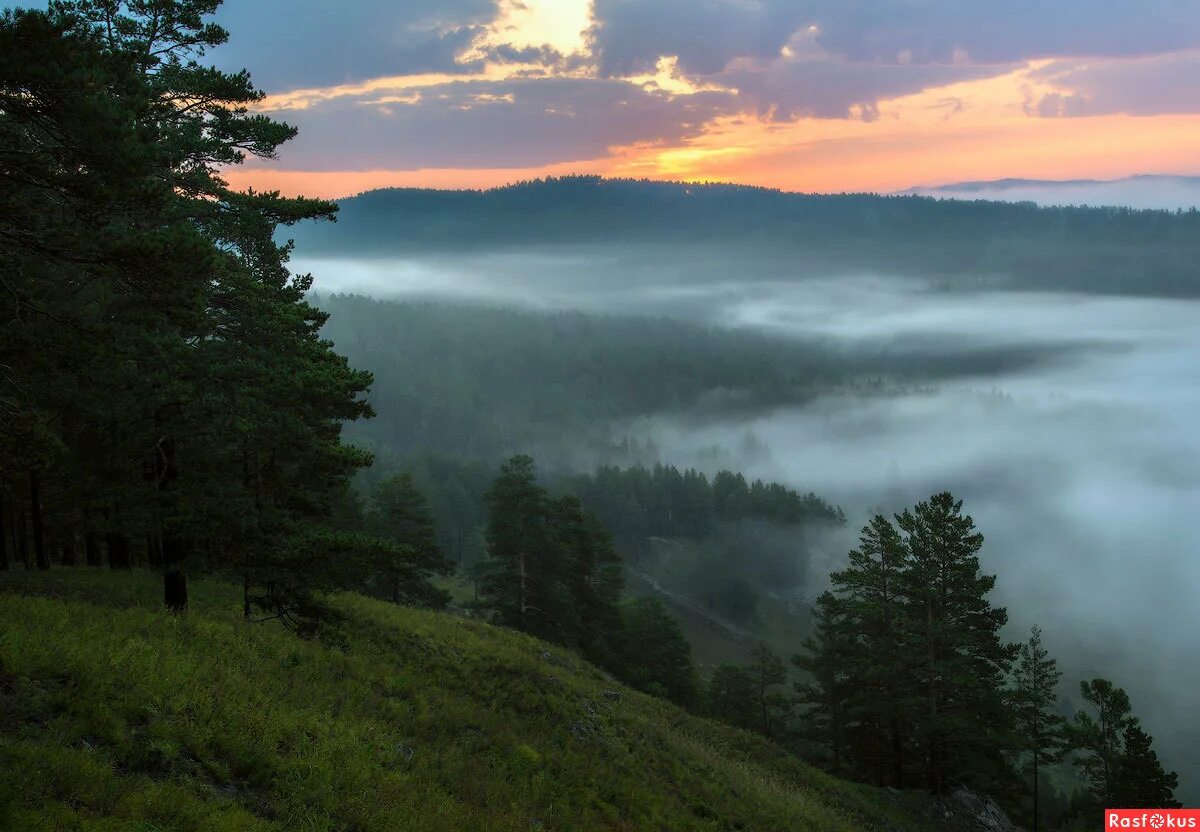 Бледнеет ночь тропы. Сумерки пейзаж. Усадьба. Раннее утро. Тропинка ночью.
