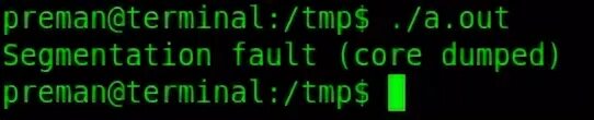 Segmentation fault. Segmentation fault