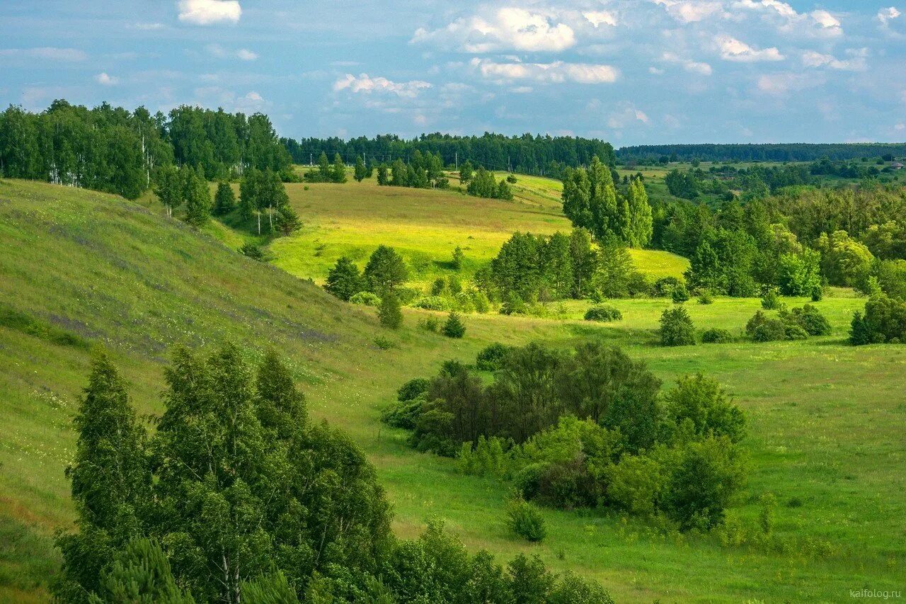 Реки черноземья. Природа Черноземья России. Холмы России. Холмы Нижегородской области. Лес Черноземье.