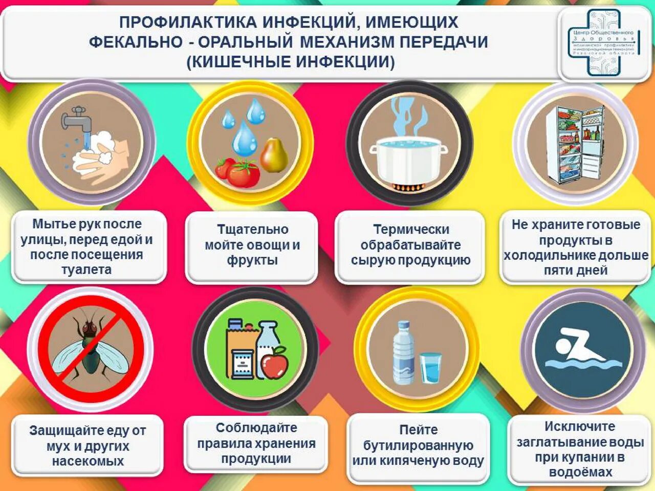 Проект инфекционные заболевания и их профилактика Профилактика инфекционных зоонозных, инфекционных и инвазионных заболеваний живо