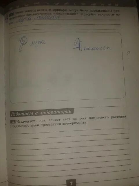 Биология рабочая тетрадь 6 класс линия жизни. Биология 5 класс рабочая тетрадь Пасечник параграф 7. Биология 5 класс рабочая тетрадь Пасечник Суматохин Калинова. Рабочая тетрадь по биологии 5 класс Пасечник линия жизни. Биология .5 класс рабочая тетрадь страница 7 в. в Пасечник.