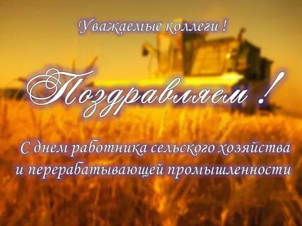 С днем работника сельского хозяйства коллеги