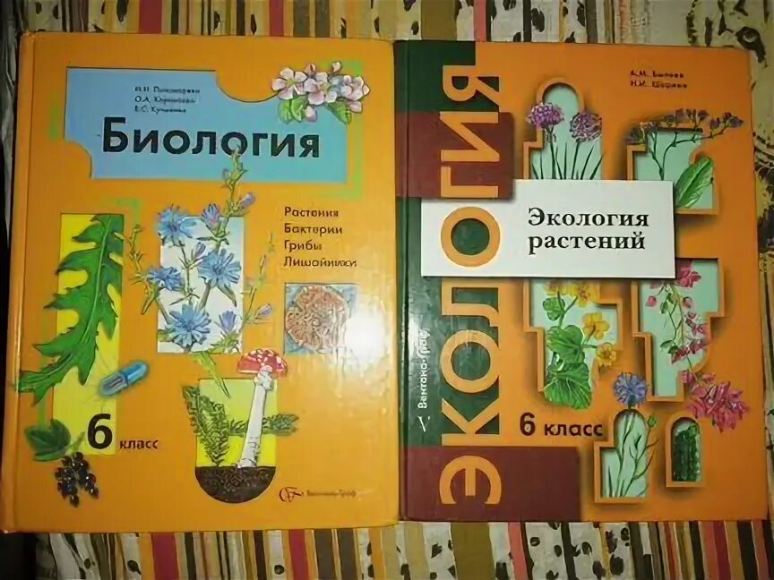 Экология 6 7 лет. Экология 6 класс учебник. Экология 6 класс. Шорина н.и. учебник экология растений. Учебник экология 6 класс а м Былова картинки.