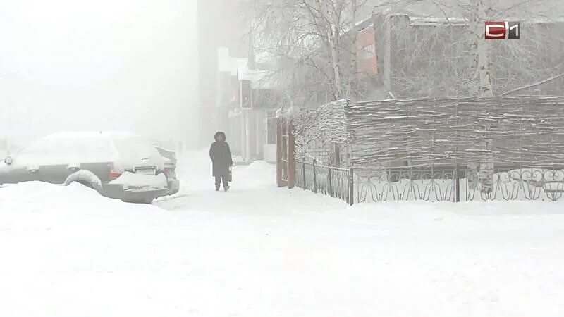 Какая погода в сургуте. Пурга в Сургуте. Метель в Сургуте. Снежная буря Сургут. Метель в Сургуте вчера.