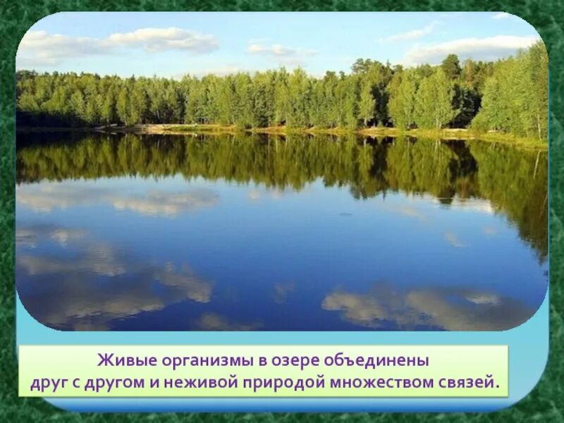 Соединяет озера 4. Живые организмы озера. Озеро твоего края. Рисунки показывающие озеро твоего края. Окружающий мир урок озера.