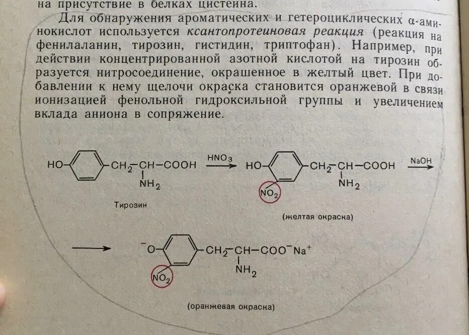 Полипептиды с азотной кислотой дают. Реакция двух молекул глицина. Реакция образования глицина. Качественная реакция на тирозин. Глицин глицин реакция.