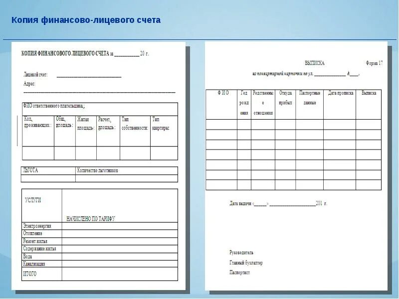 Копия финансового лицевого счета госуслуги. Копия лицевого счета с места жительства. Справка финансового лицевого счета с места жительства как выглядит. Копия финансового лицевого счета образец. Финансовый лицевой счет на квартиру где получить.