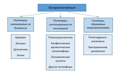 К нерегулярным биополимерам относятся